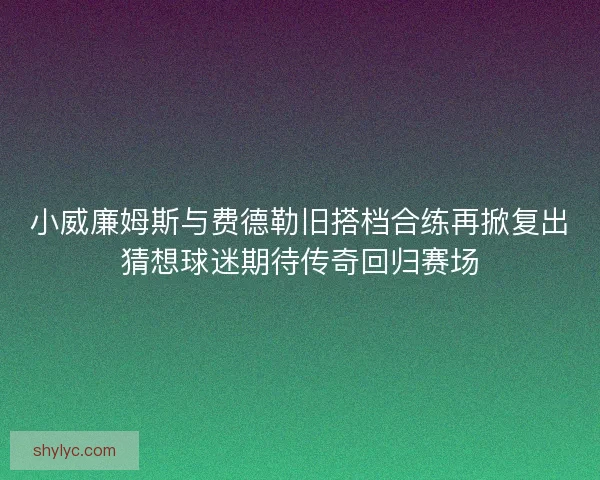 小威廉姆斯与费德勒旧搭档合练再掀复出猜想球迷期待传奇回归赛场