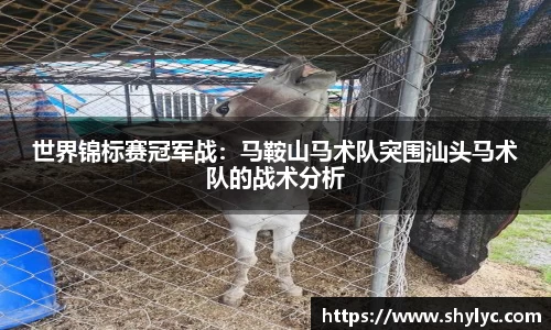 谈球吧